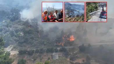 Alanya Yangını: 150 Ekip, 786 Personel, 244 Araç, 2 Uçak ve 12 Helikopterden Müdahale