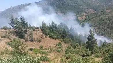 Adana Feke'de Orman Yangını: Ekipler Seferber Oldu