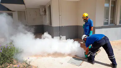 Antalya’da Haşere Operasyonu! Sivrisineklerin Yuvaları Temizleniyor