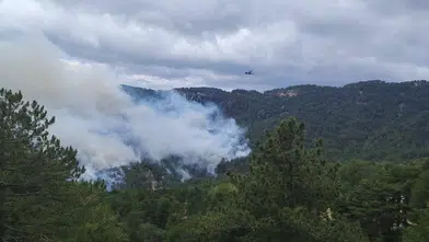 Manavgat'ta Orman Yangınına Havadan ve Karadan Müdahale Sürüyor!