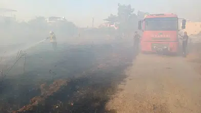 Hatay'da Zeytinlik Yangını: Evlere Sıçramadan Söndürüldü
