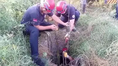 Kuyudan Çıkarılan İneğine Kavuşan Kadın Gözyaşı Döktü