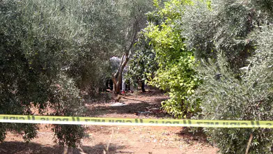 Antalya'da Dehşet! Elleri Bağlı Genç Zeytinlikte Ölü Bulundu
