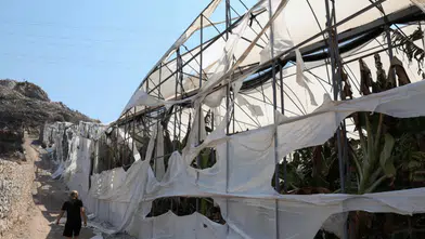 Yangının Yaraları Sarılıyor: Antalya Büyükşehir'den Üreticilere Destek