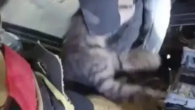 Motor Kısmında Mahsur Kaldı! İtfaiyecinin “Minnoş” Sözleri Yürekleri Isıttı
