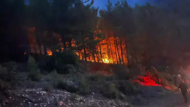 Alanya Gözüküçüklü'de Sabaha Karşı Orman Yangını: 7 Dönüm Alan Yandı