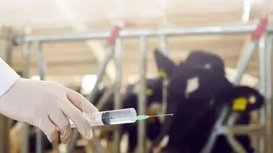Çiftçilere 688 Milyon TL’lik Destek Ödemesi: Hesapları Kontrol Edin