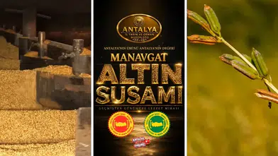 Antalya İl Tarım'dan Manavgat Altın Susam Paylaşımı: Çıtır Simit ve Lezzetli Tahinin Sırrı