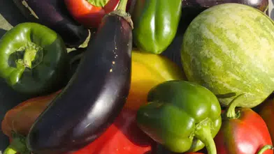 Antalya Toptancı Hali’nde Güncel Fiyatlar Belli Oldu