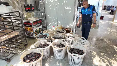 Evde Zehir Üretmişler: Gazete Kâğıdıyla Pişirilen 200 Kilo Midye Ele Geçirildi!