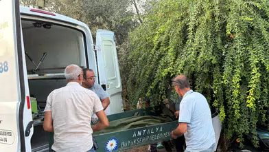 Gazipaşa'da Şüpheli Ölüm: Cezaevinden İzinli Çıkmıştı