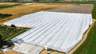 Elmalı'da Devlet Destekli Modern Sera: 5 Çeşit Biber Üretimi Başladı