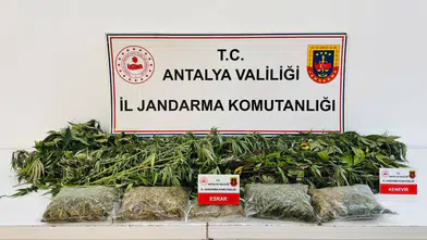 Alanya'da Narkotik Operasyonu: Kenevir ve Esrar Ele Geçirildi