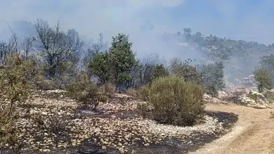Silifke'de Tarım Alanında Çıkan Yangın Kontrol Altına Alındı