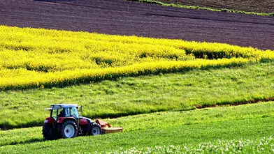 Antalya Tarımına 267 Milyon TL'lik Bütçe: 14 Proje Onaylandı