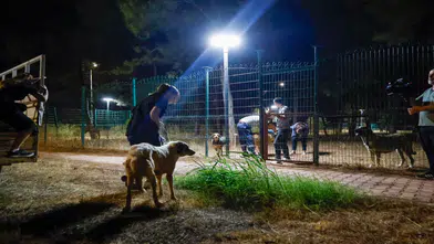 Alevlerin Arasından Kurtarıldılar: Aksu’da 105 Köpek Koruma Altına Alındı