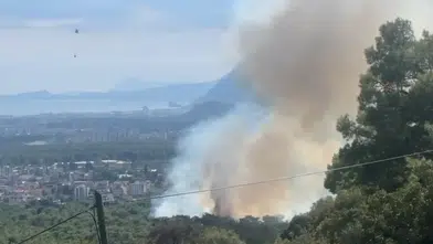 Kepez Santral Mahallesi'nde Orman Yangını