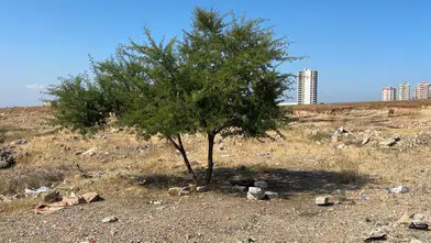 Adana'da Boş Arazide Hareketsiz Yatan 35 Yaşındaki Şahıs Ölü Bulundu