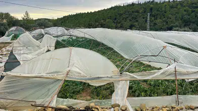Manavgat’ta Hortum Felaketi: 15 Dönümlük Sera Zarar Gördü