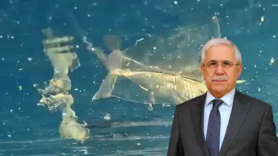 Antalya'nın Mavi Bayraklı Kıyılarında Alarm!