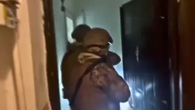 Antalya Dahil 30 İlde Daltonlar Çetesine Operasyon: 30'u Çocuk 85 Gözaltı