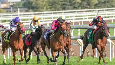 At Yarışında TJK Dönemi Sonra Erdi! 1 Milyon Sermayeli Şirket Yetkiyi Aldı