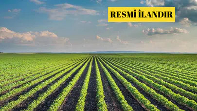 AKSEKİ YARPUZ 110 ADA 35 PARSEL İRTİFAK HAKKI İHALE İŞİ