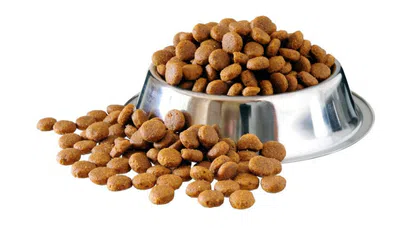 Kedi köpek maması satın alınacak