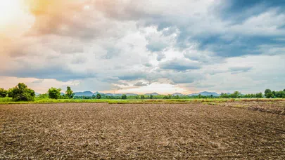 Tarım alanları satışa çıkarılacak