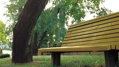 Halka Açık Park Alanı Düzenlemesi Yaptırılacak