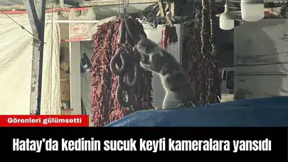 Hatay'da Kedinin Sucuk Keyfi Kameralara Yansıdı