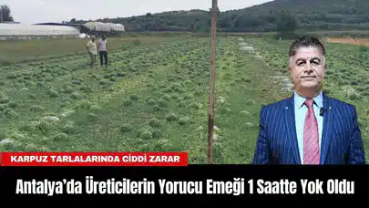 Antalya’da Üreticilerin Yorucu Emeği 1 Saatte Yok Oldu