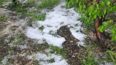 Isparta’da Sağanak ve Dolu Kabusu: Meyve Bahçeleri Büyük Zarar Gördü