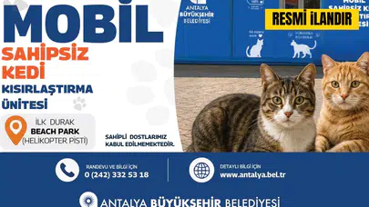 Antalya Büyükşehir Belediyesi Mobil Sahipsiz Kedi Kısırlaştırma Ünitesi