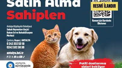 Antalya Büyükşehir Belediyesi Sokak Hayvanları Geçici Bakımevi ve Rehabilitasyon Merkezi