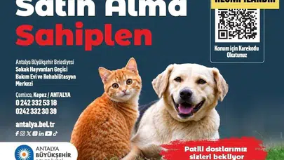 Antalya Büyükşehir Belediyesi Sokak Hayvanları Geçici Bakımevi Ve Rehabilitasyon Merkezi