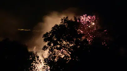 Alanya'da Gece Çıkan Orman Yangını Kontrol Altında