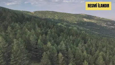 Arazi Hazırlığı Hizmeti Alınacak
