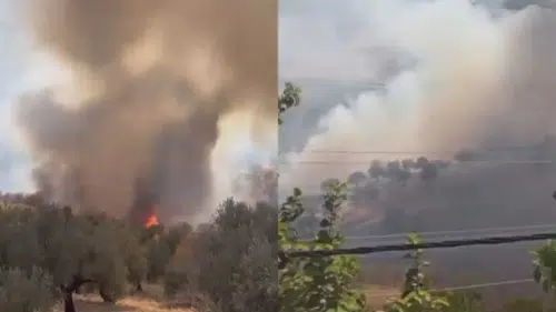 Manavgat’ta Çıkan Yangın Ormana Sıçradı!