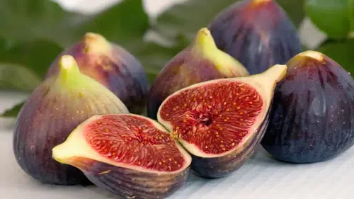 Antalya’da Lezzetli Bir Festival Başlıyor