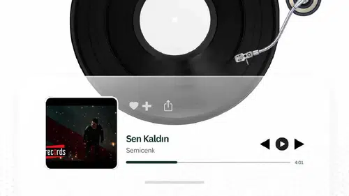 Semicenk Sen Kaldın Şarkı Sözleri! Sen Kaldın Eşref Rüya Edit