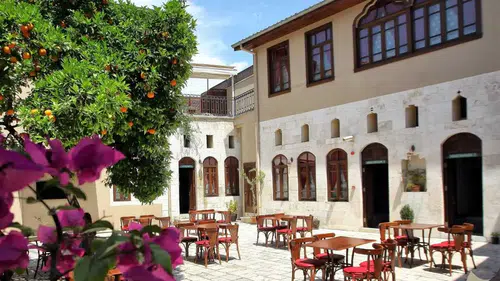 Hatay’da Şifa Dolu Aromatik Bitki Mirası Yeniden Hayat Buluyor!