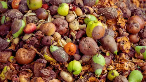 Türkiye’nin ‘Gıda İsrafı’ Karnesi Çok Acı