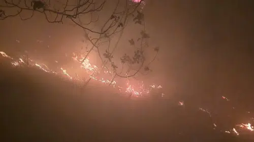 Hatay’da 16 Saat Süren Orman Yangını Kontrol Altında!