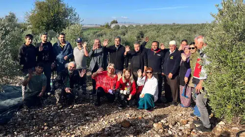 Serik’te Zeytin Hasadı Başladı: Üreticiler Hasattan Umutlu!