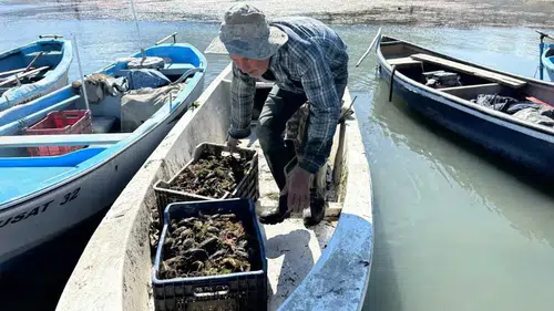 Eğirdir Gölü’nün Gizli Lezzetinde 7 Ay Sürecek Yasak Başladı!