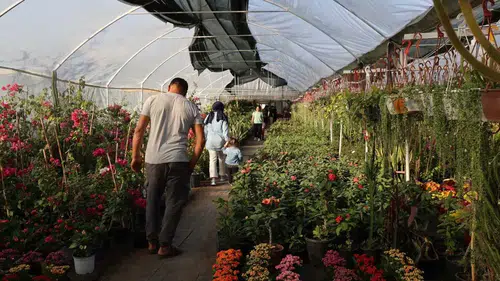 Adana’da Öğretmenler Günü Çiçek Trendi Değişti! En Çok Hangi Çiçek Alınıyor?