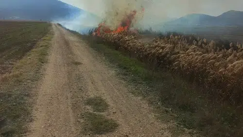 Bucak’ta Korku Dolu Anlar: Sazlık Alan Alev Alev Yandı!