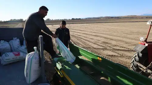 Adana’da Buğday Tohumları Toprakla Buluştu: Çiftçinin Gözü Yağmurda!