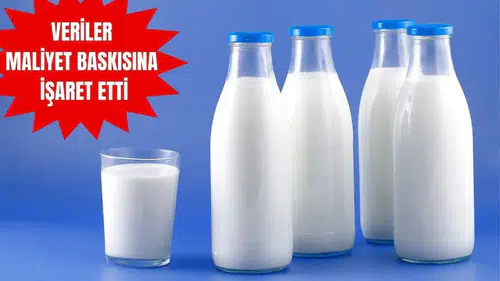 Süt Üretiminde Maliyet Baskısı Verilere Yansıdı! TÜİK Açıkladı